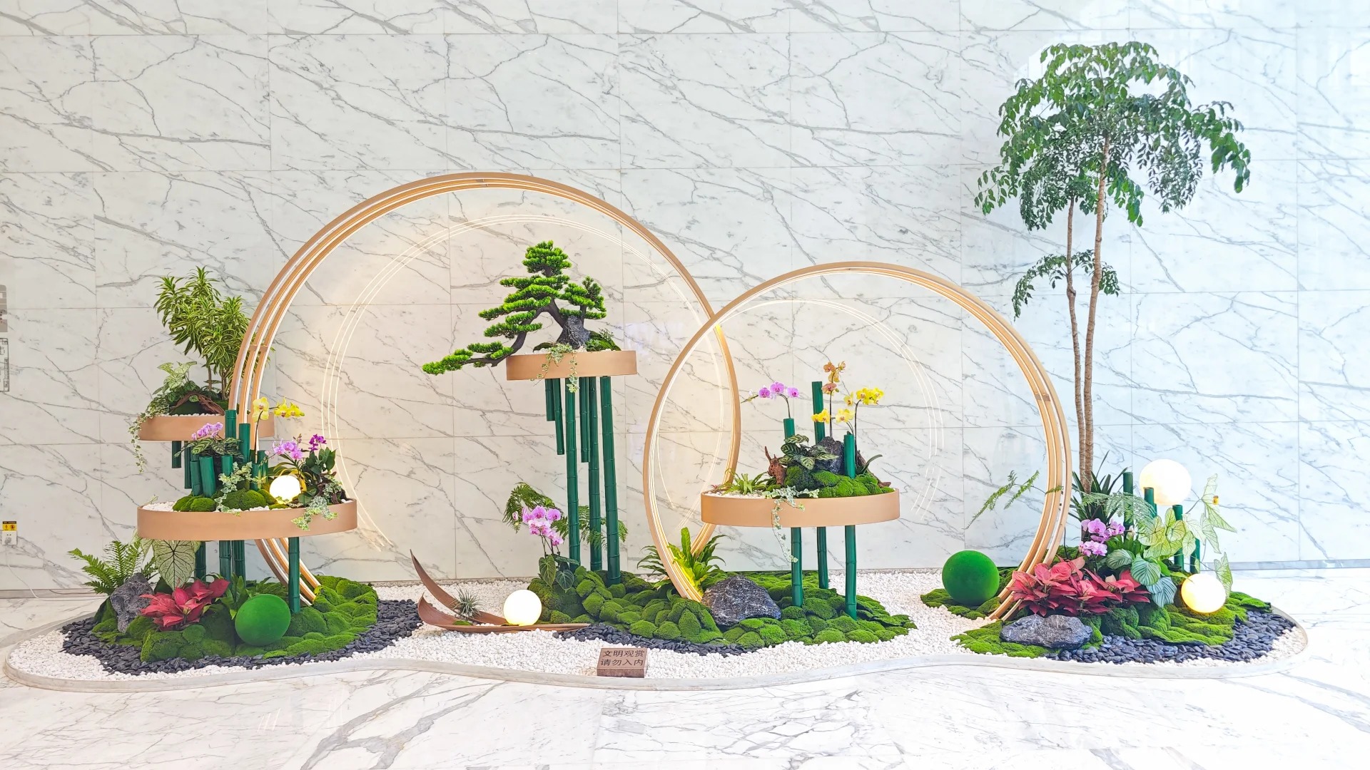 余姚盆景租摆超专业,营造独特视觉享受